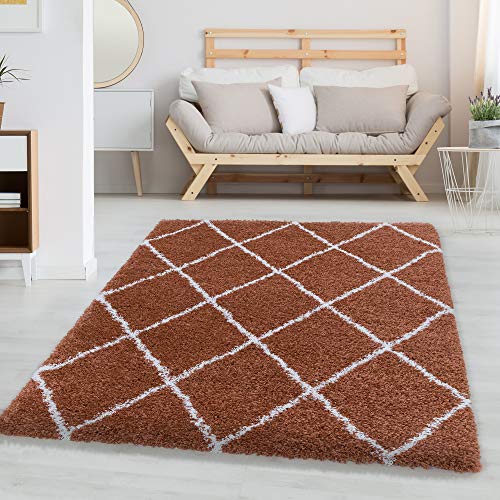 Carpettex Hochflor Teppich Wohnzimmer Skandinavische Rauten Design Flur Teppich Terrakotta 60 x 110 cm - Shaggy Teppich Schlafzimmer Läufer Flauschiger Teppich Weich Langflor Teppich Küchenläufer von Carpettex Teppich