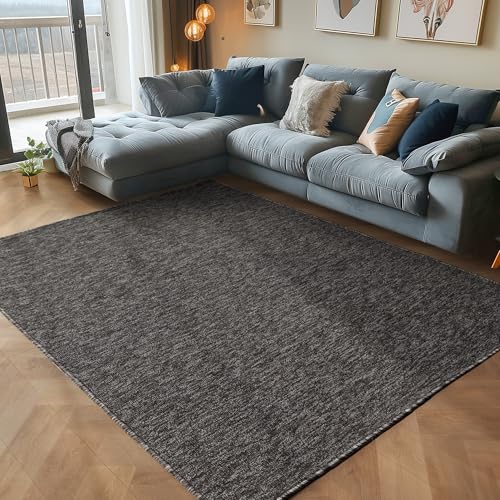 Carpettex Teppich Wohnzimmer Kurzflor Teppich Modern Einfarbig Design 120 x 170 cm Teppich Anthrazit - Küchenteppich Waschbar Extra Weich Flauschig - Teppich Schlafzimmer Kinderzimmer Esszimmer Flur von Carpettex Teppich