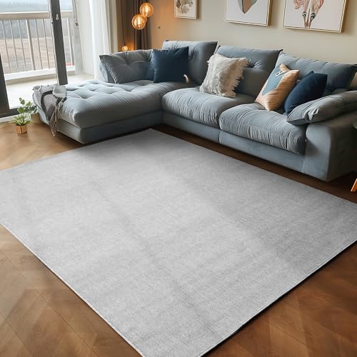 Carpettex Teppich Wohnzimmer Kurzflor Teppich Modern Einfarbig Design 200 x 290 cm Teppich Hellgrau - Küchenteppich Waschbar Extra Weich Flauschig - Teppich Schlafzimmer Kinderzimmer Esszimmer Flur von Carpettex Teppich