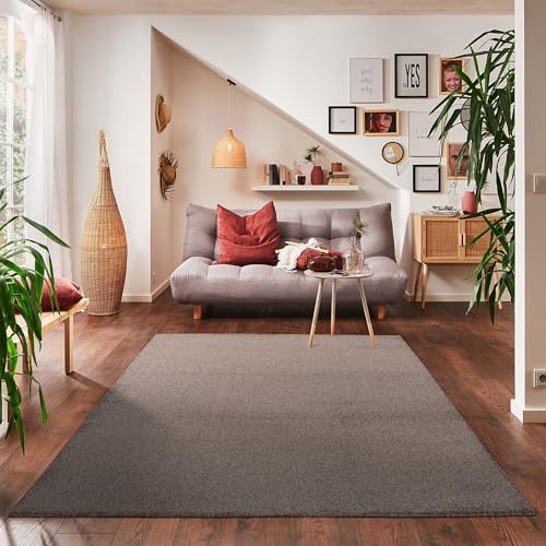 Carpettex Wohnzimmer Teppich Modern Einfarbig 200 x 290 cm Mokka - Kurzflor Küchenteppich Waschbar Extra Weich Flauschig - Schlafzimmer Kinderzimmer Esszimmer Flur von Carpettex Teppich