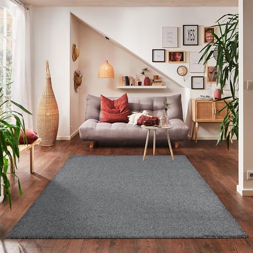 Carpettex Wohnzimmer Teppich - Kurzflor Modern Einfarbig 240 x 340 cm Grau - Waschbar Extra Weich Flauschig für Küche, Schlafzimmer, Kinderzimmer, Esszimmer, Flur von Carpettex Teppich