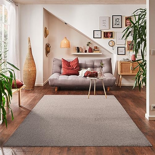 Einfarbig Kurzflor Teppich Wohnzimmer Super Weich größen, Farbe: Beige, Größe: 80 x 150 cm von Carpettex Teppich