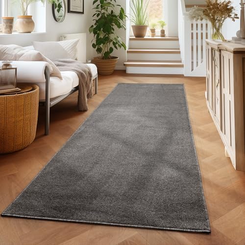 Carpettex Teppich Wohnzimmer Kurzflor Teppich Modern Einfarbig Design 60 x 100 cm Küchenläufer Flur Teppich Grau - Küchenteppich Teppich Waschbar in Waschmaschine Klein Extra Weich Flauschig von Carpettex Teppich