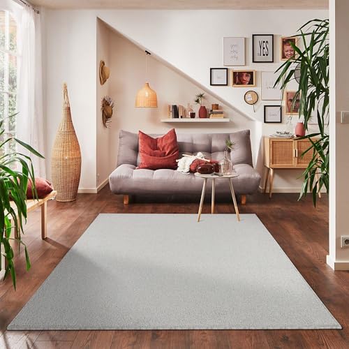 Carpettex Teppich Wohnzimmer Kurzflor Teppich Modern Einfarbig Design 120 x 170 cm Teppich Creme - Küchenteppich Waschbar Extra Weich Flauschig - Teppich Schlafzimmer Kinderzimmer Esszimmer Flur von Carpettex Teppich