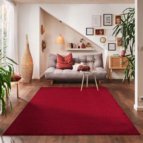 Carpettex Teppich Wohnzimmer Kurzflor Teppich Modern Einfarbig Design 120 x 170 cm Teppich Rot - Küchenteppich Waschbar Extra Weich Flauschig - Teppich Schlafzimmer Kinderzimmer Esszimmer Flur von Carpettex Teppich