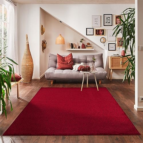 Carpettex Teppich Wohnzimmer Kurzflor Teppich Modern Design 80 x 150 cm Küchenläufer Flur Teppich Rot - Küchenteppich Teppich Waschbar Extra Weich Flauschig - Bettvorleger Schlafzimmer Teppich von Carpettex Teppich