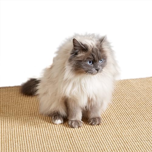 Carpido Kratzmatte für Katzen - Fußmatte Sisal Kratzteppich - natürliche Sisalmatte robust - Vorleger 100% Sisal - Katzenkratzmatte Natur 60 x 80 cm 2er Set Carpido Kratzmatte für Katzen - Fußmatte Sisal Kratzteppich - natürliche Sisalmatte robust - Vorleger 100% Sisal - Katzenkratzmatte Natur 60 x 80 cm 2er Set von Carpido
