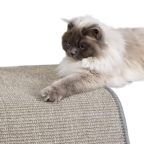Carpido Kratzmatte für Katzen - Fußmatte Sisal Kratzteppich - natürliche Sisalmatte robust - Vorleger 100% Sisal - Katzenkratzmatte grau 60 x 80 cm 2er Set Carpido Kratzmatte für Katzen - Fußmatte Sisal Kratzteppich - natürliche Sisalmatte robust - Vorleger 100% Sisal - Katzenkratzmatte grau 60 x 80 cm 2er Set von Carpido