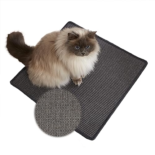 Carpido Kratzmatte für Katzen - Fußmatte Sisal Kratzteppich - natürliche Sisalmatte robust - Vorleger aus 100% Sisal - Katzenkratzmatte anthrazit 30 x 40 cm von Carpido