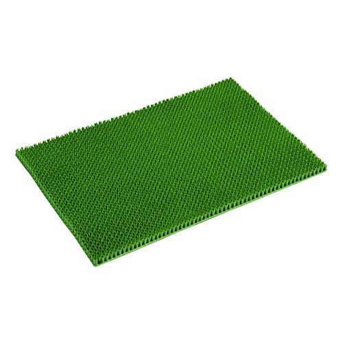 Carpido Fußmatte grün für aussen - strapazierfähige Türmatte Outdoor 40x60 cm - Fußabstreifer für den Außenbereich - Fußabtreter mit feinen Borsten von Carpido