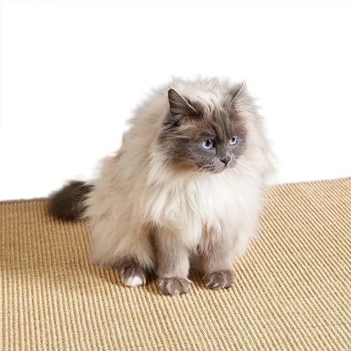 Kratzmatte für Katzen - Fußmatte Sisal Kratzteppich - natürliche Sisalmatte robust - Vorleger 100% Sisal - Katzenkratzmatte Natur 60 x 80 cm 2er Set von Carpido