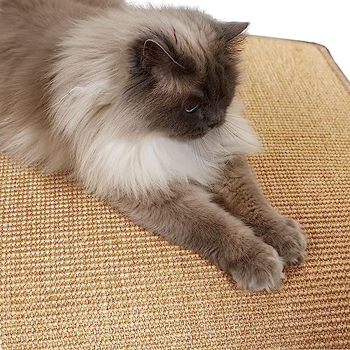 Kratzmatte für Katzen - Fußmatte Sisal Kratzteppich - natürliche Sisalmatte robust - Vorleger aus 100% Sisal - Katzenkratzmatte Natur 50 x 50 cm von Carpido