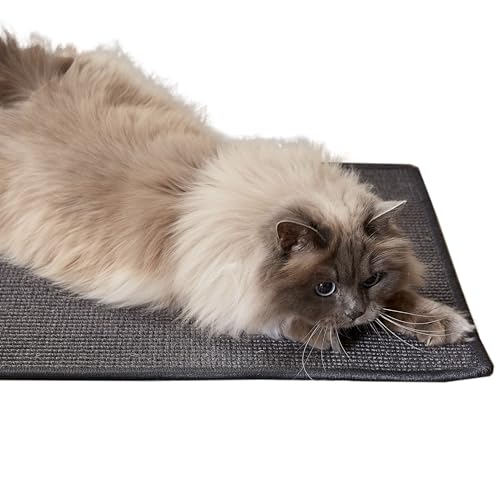 Kratzmatte für Katzen - Fußmatte Sisal Kratzteppich - natürliche Sisalmatte robust - Vorleger aus 100% Sisal - Farbe: anthrazit 140 x 200 cm von Carpido