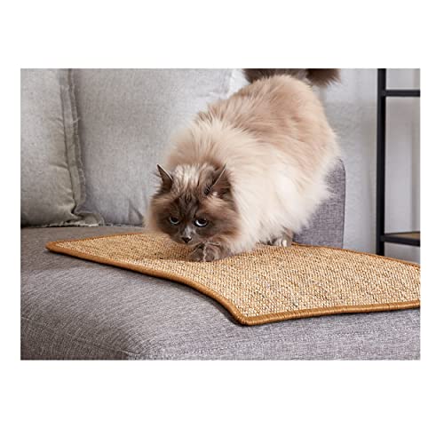 Kratzmatte für Katzen - Fußmatte Sisal Kratzteppich - natürliche Sisalmatte robust - Vorleger aus 100% Sisal - Katzenkratzmatte braun 30 x 40 cm von Carpido
