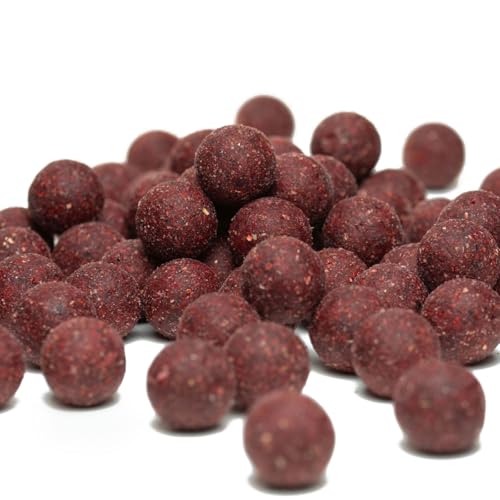 Carpline24 Futterboilies Robin Red Knoblauch 20 mm, 5 kg - Boilies zum Anfüttern von Karpfen, Köder für das Karpfenangeln, Angelfutter sinkend mit Lockstoff Carpline24 Futterboilies Robin Red Knoblauch 20 mm, 5 kg - Boilies zum Anfüttern von Karpfen, Köder für das Karpfenangeln, Angelfutter sinkend mit Lockstoff von Carpline24