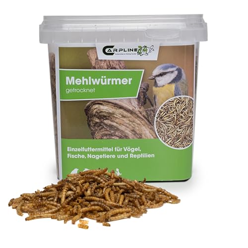 Carpline24 Getrocknete Mehlwürmer 1000 ml - Proteinreiche Insekten als Futter für Reptilien, Nager, Igel & Fische, Vogelfutter, Winterfutter Carpline24 Getrocknete Mehlwürmer 1000 ml - Proteinreiche Insekten als Futter für Reptilien, Nager, Igel & Fische, Vogelfutter, Winterfutter von Carpline24