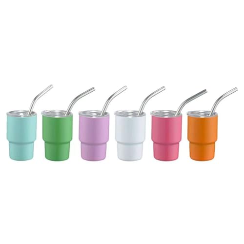 Carriere Mini-Schnapsglas mit Strohhalm, Sublimations-Doppelschicht, Süßes Schnapsglas-Set Aus Metall, 85 Ml, mit Deckel, Langlebig von Carriere