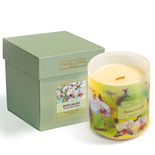 Duftkerze aus Bienenwachs Mond Orchidee von Carroll&Chan