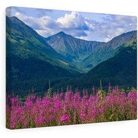 Alaska Landschaft Fotografie Druck, Home Decor, Leinwand Wandkunst, Landschaftsfotografie, Us States Landschaft, Personalisiertes Geschenk von CarsonZyliczPhoto