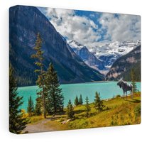 Elch Fotografie Druck, Grand Tetons, Wohneinrichtung, Landschaft Wandkunst, Wohnzimmer, Geschenk von CarsonZyliczPhoto