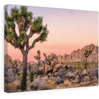 Joshua Tree National Park Fotografie Druck, Home Decor, Wohnzimmer Einrichtung, Leinwand Wandkunst, Fotos Und Paitings, Geschenk Zur von CarsonZyliczPhoto