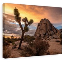 Joshua Tree National Park Fotografie Druck, Home Decor, Wohnzimmer Einrichtung, Leinwand Wandkunst, Fotos Und Paitings, Geschenk Zur von CarsonZyliczPhoto