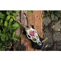 Geschnitzter Und Bemalter Echter Schädel von Carvedskullart