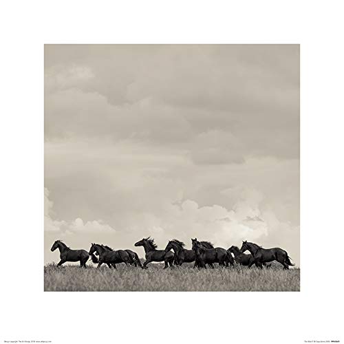 Carys Jones Kunstdrucke, Mehrfarbig, 40 x 40 cm von Carys Jones