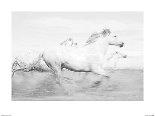 Carys Jones Kunstdrucke, Mehrfarbig, 60 x 80 cm von Carys Jones