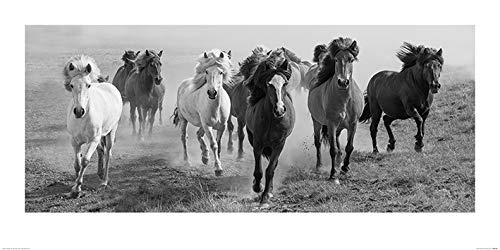Carys Jones Kunstdrucke, Papier, Mehrfarbig, 50 x 100 cm von Carys Jones