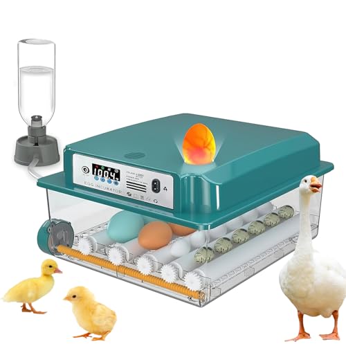 Brutautomat Vollautomatisch,Inkubator FüR 12-16 Eier,Mit Automatischem Wenden Der Eier Und Automatischer Befeuchtungsfunktion,Brutmaschine Inkubatoren FüR GeflüGeleier von Carziyer