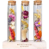 Casa Caron | Set aus 3 Vasen mit Trockenblumen Diana von Casa Caron