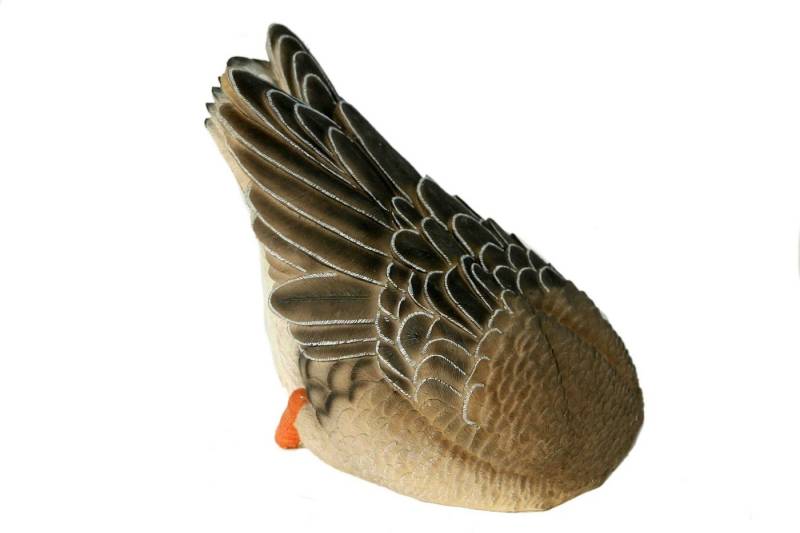 Casa Collection by Jänig Dekofigur Ente unter Wasser, schwimmend, Breite ca. 29cm, Tierfigur, Dekofigur, Ente von Casa Collection by Jänig