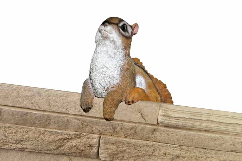 Casa Collection by Jänig Tierfigur Streifenhörnchen "Zaunhänger", Tierfigur, Streifenhörnchen, Dekofigur von Casa Collection by Jänig