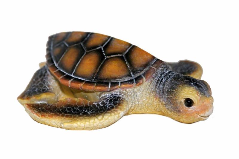 Casa Collection by Jänig Tierfigur Wasserschildkröte, Dekofigur, Tierfigur von Casa Collection by Jänig