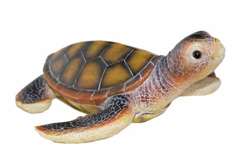 Casa Collection by Jänig Tierfigur Wasserschildkröte von Casa Collection by Jänig
