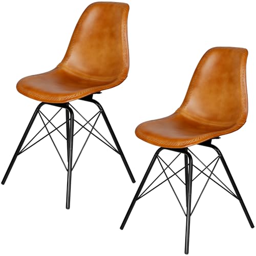 Casa Moro Stühle Esszimmer Echtleder Essstühle 2er-Set Stuhl Cognac Lederstühle Sitzschale Metallgestell Wartezimmerstühle Konferenzstühle Modern von Casa Moro
