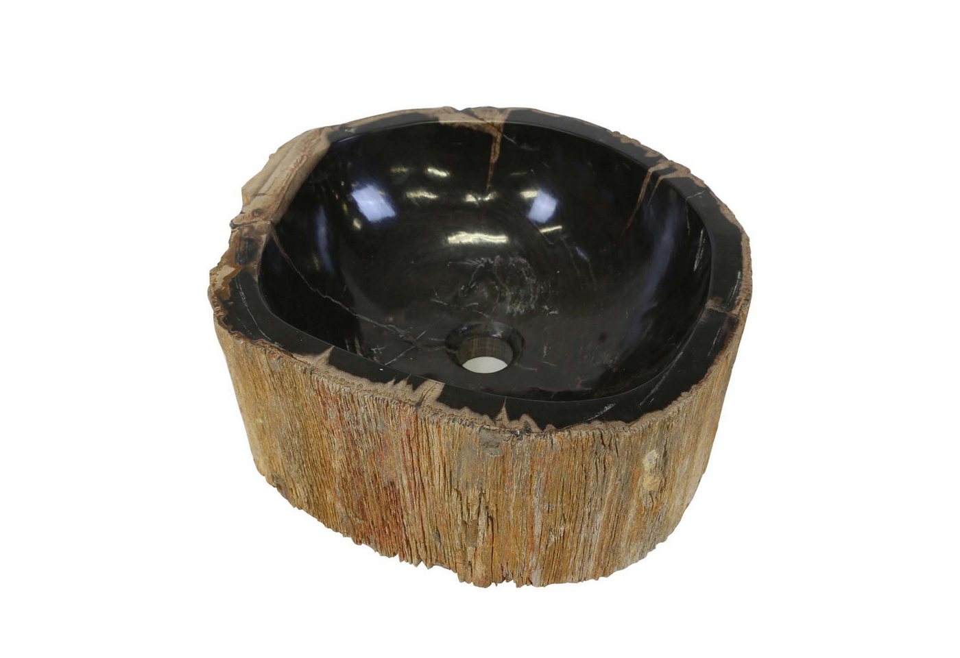 Casa Moro Waschbecken Fossiles Holz Waschbecken Olivia für Badezimmer Gäste-Bad (Badezimmer Gäste WC), Einzigartiges Naturstein Handwaschbecken MW514015 von Casa Moro