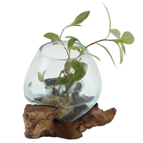 Glasvase auf Wurzelholz Ø 15cm x Höhe 20cm aus Recycling Glas & Teak Wurzel Holz handgefertigt extravagante Wohndeko Deko-Vase Glasschale Natur-Vase Weihnachten A15 von Casa Moro