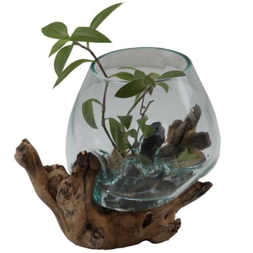 Glasvase auf Wurzelholz Ø 18cm x Höhe 24cm aus Recycling Glas & Teak Wurzel Holz handgefertigt | extravagante Wohndeko Deko-Vase Glasschale Natur-Vase | A18 von Casa Moro