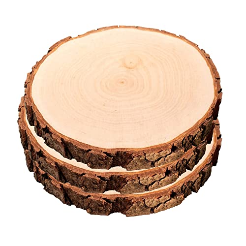 3er Set Baumscheiben aus echtem Holz mit Rinde, Runde Holzdeko Baumstamm Scheiben, Natürliche Holzscheiben zum Basteln, Schlichte Holzplatten als robuste Untersetzer von Casa Vivente