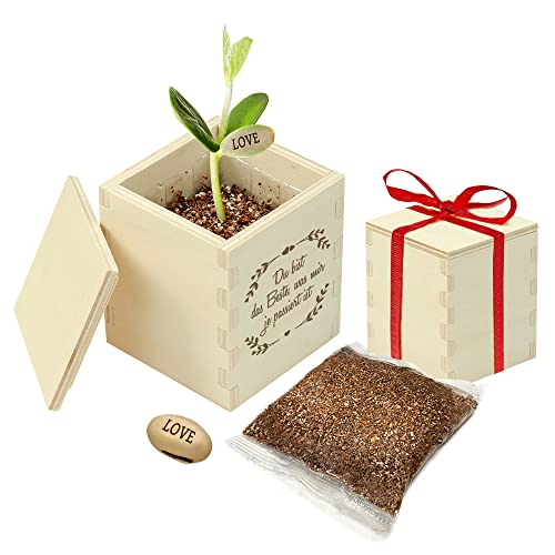Casa Vivente Zauberbohne mit gravierter Holzbox, Du bist das Beste, Pflanze mit Botschaft Love, Inklusive Anzuchtset, Liebesgeschenk von Casa Vivente