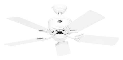 Unbekannt CasaFan Deckenventilator Eco Elements 103 Ventilator von CasaFan