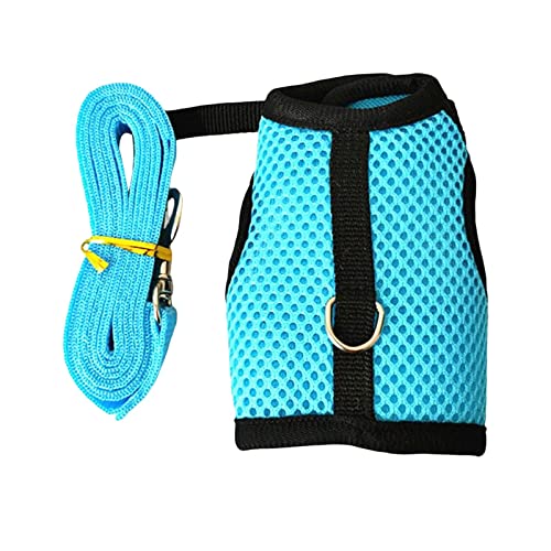 Hundegeschirr und Leine mit verstellbarer Schnalle für Katzen, Kätzchen und kleine Haustiere, Blau von CasaNexa