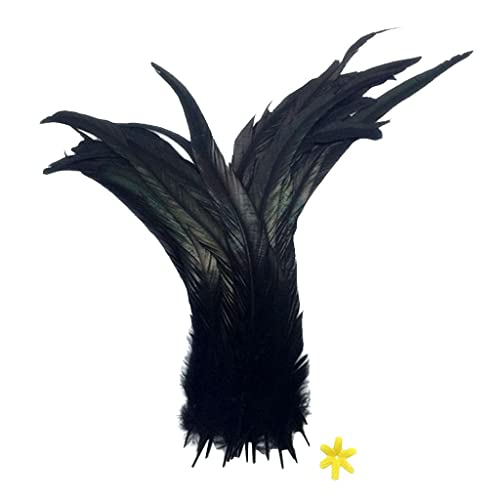 Schwarze Hahnenschwanz-Feder, 35–40 cm, ideal für Bühnenauftritte, Kostüme und Heimdekoration von CasaNexa