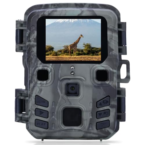 Casativo Kompakte Wildkamera, Full HD, PIR Bewegungssensor, Nachtsicht mit IR LEDs, IPX5, 180g leicht, Farbdisplay, für eine diskrete Tierbeobachtung Casativo Kompakte Wildkamera, Full HD, PIR Bewegungssensor, Nachtsicht mit IR LEDs, IPX5, 180g leicht, Farbdisplay, für eine diskrete Tierbeobachtung von Casativo