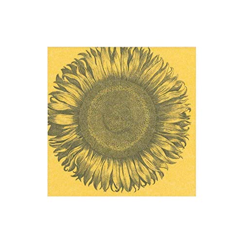 Caspari Entertaining with Servietten, geätzte Sonnenblume, Weiß, 15 Stück, Papier, 12.7 x 12.7 x 3 cm, 30 von Caspari