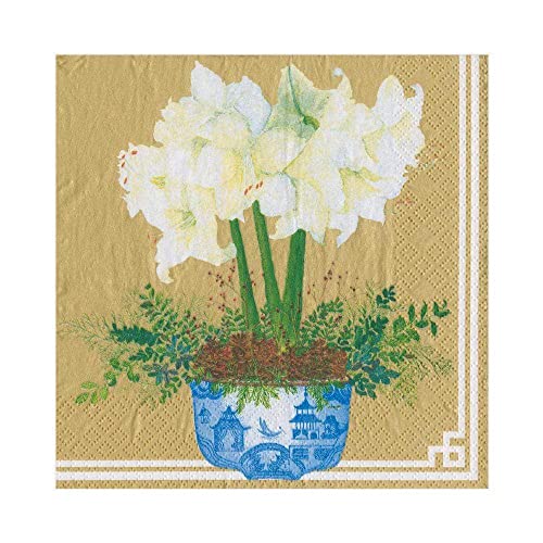 Catherine Weisz Gold Caspari Papierserviette mit Amaryllis im Topf, 33 cm, quadratisch, 20 Stück von Caspari