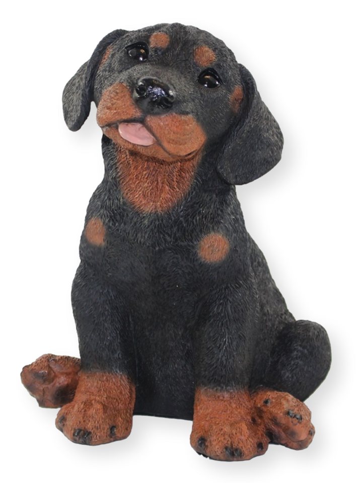 Castagna Dekofigur Deko Figur Hund Rottweiler Welpe Hundefigur sitzend Kollektion Castagna aus Resin Höhe 23 cm von Castagna