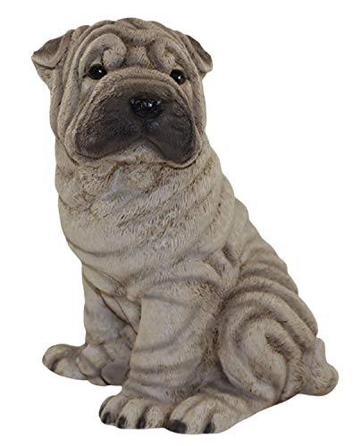 Castagna Kollektion Deko Figur Hund Chinesischer Faltenhund Shar Pei Welpe Hundefigur sitzend aus Resin Höhe 24 cm von Castagna